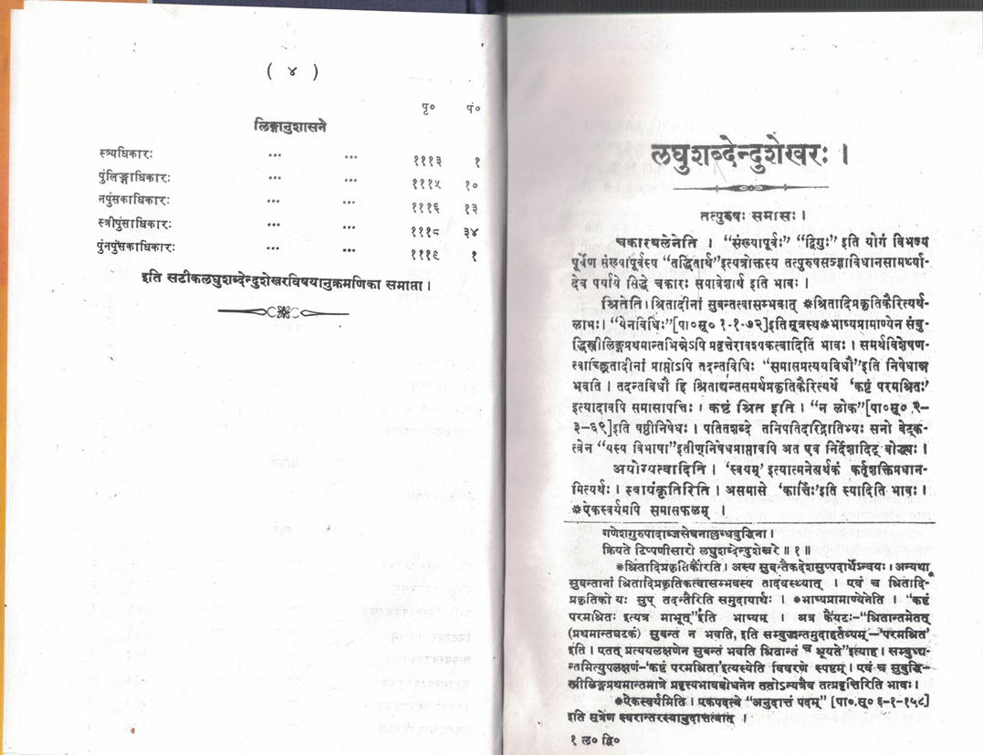 laghushabdendushekhar vol - 2