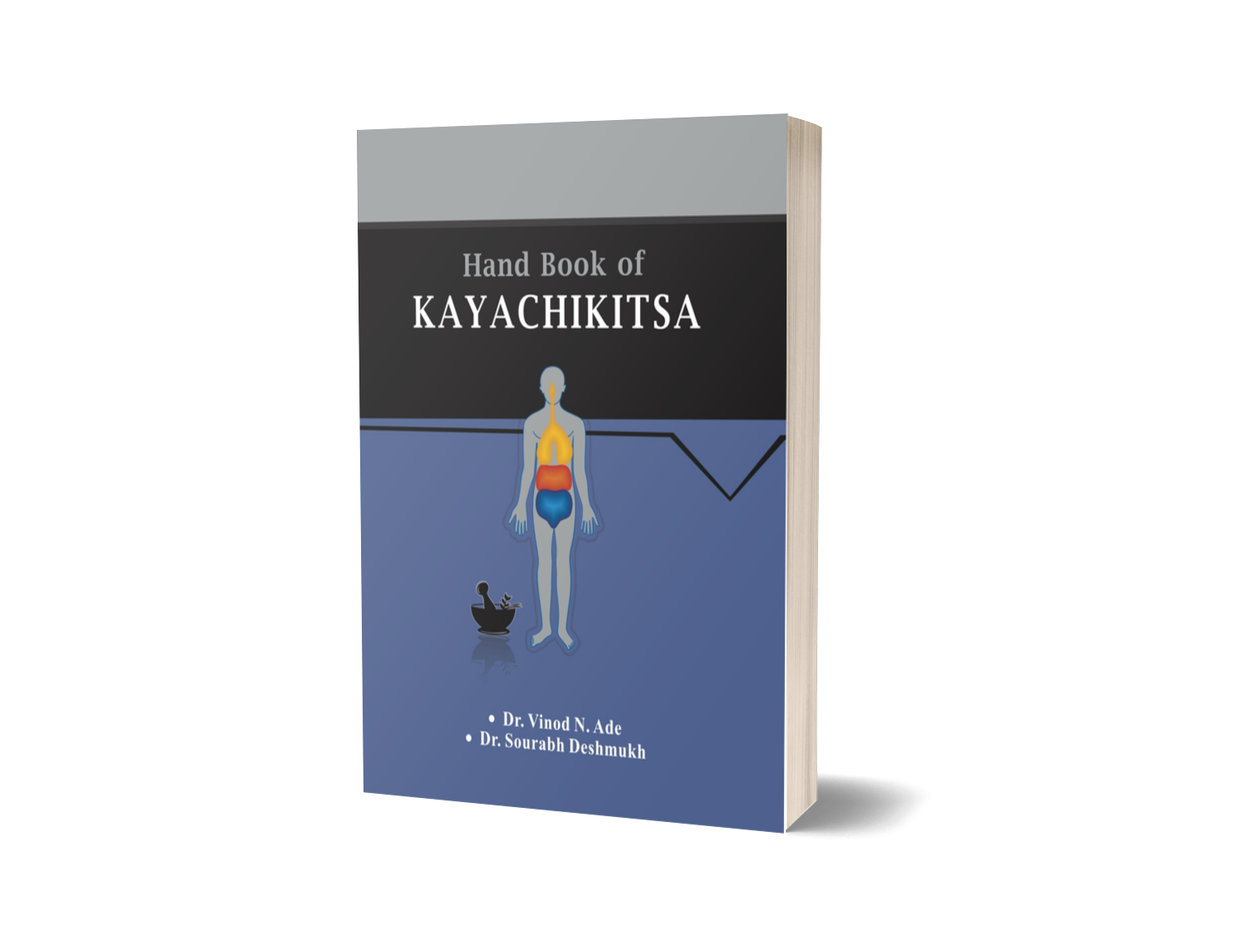 Hand Book of kaya chikitsa