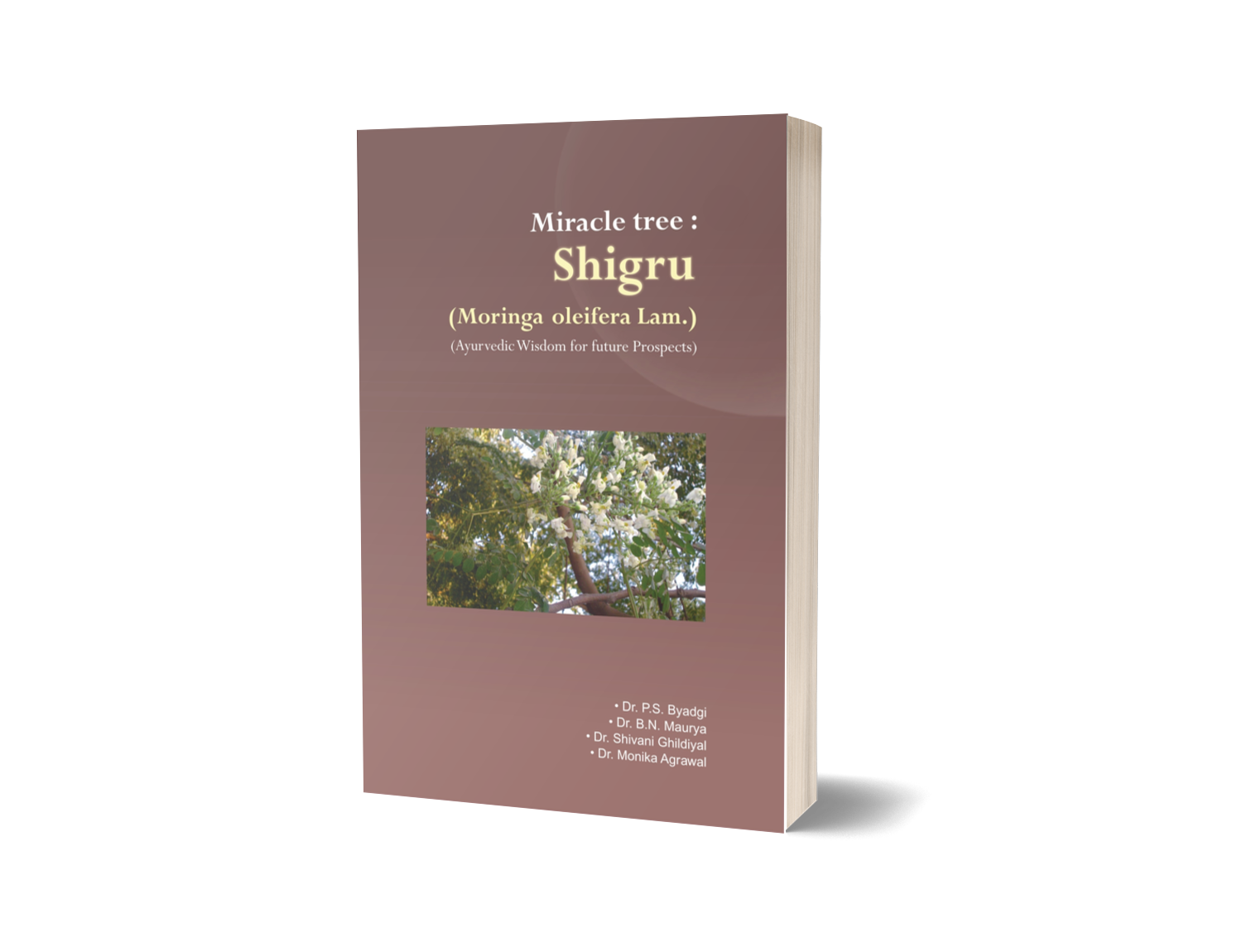 Miracle Tree : Shigru (Moringa oleifera Lam.) (Ayurvedic Wisdom for future prospects)