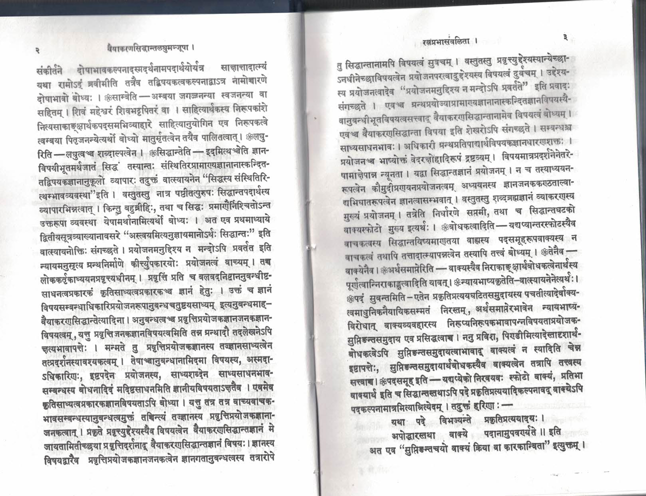 Vyakaran Siddhant Laghumanjusha.