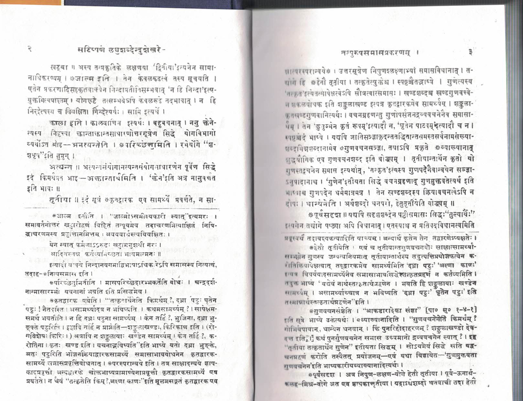 laghushabdendushekhar vol - 2