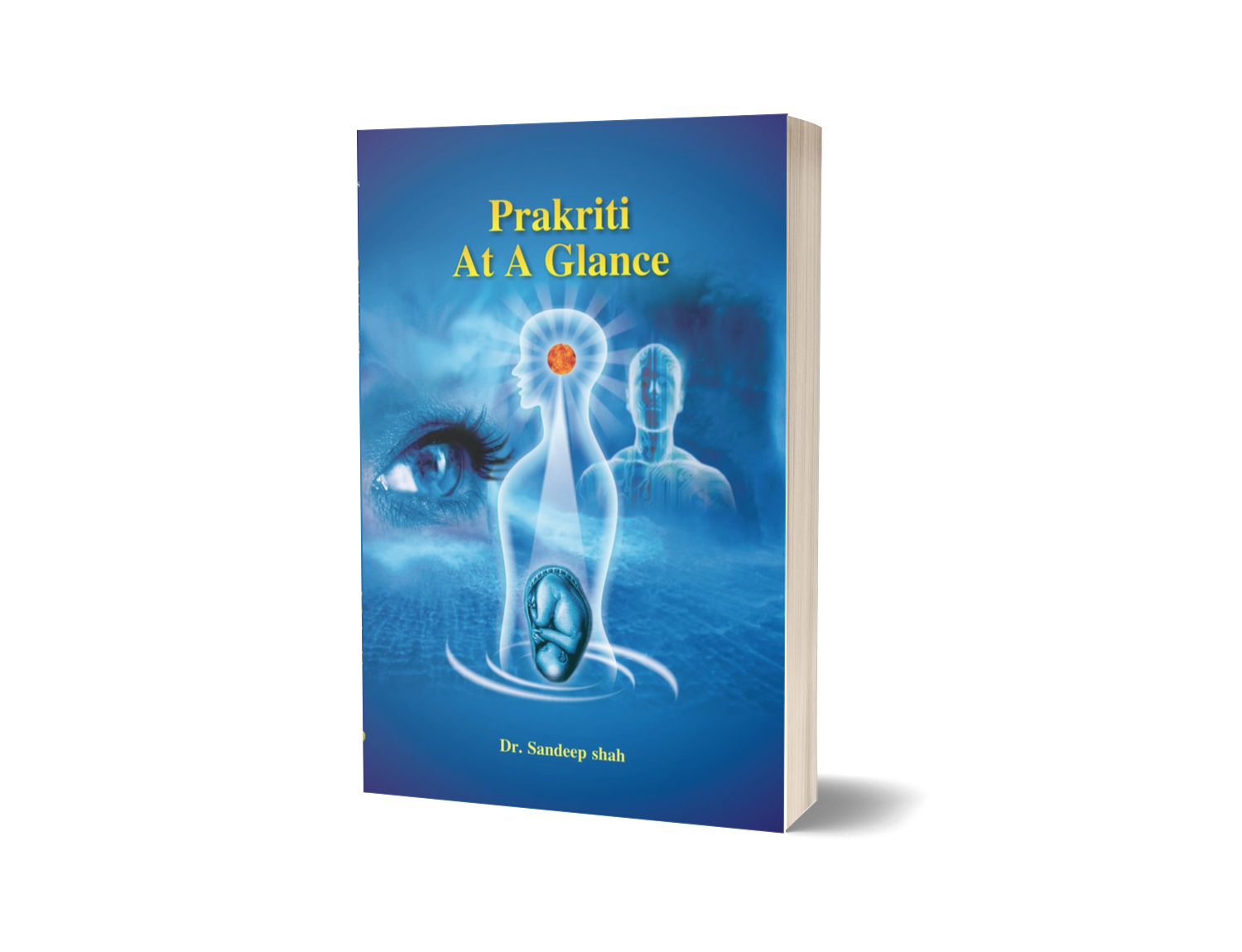 PRAKRITI AT A GLANCE