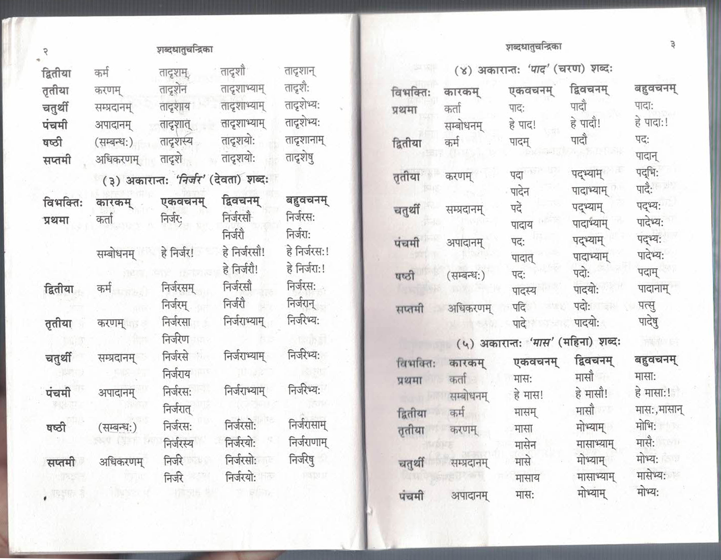 Shabddhatuchandrika