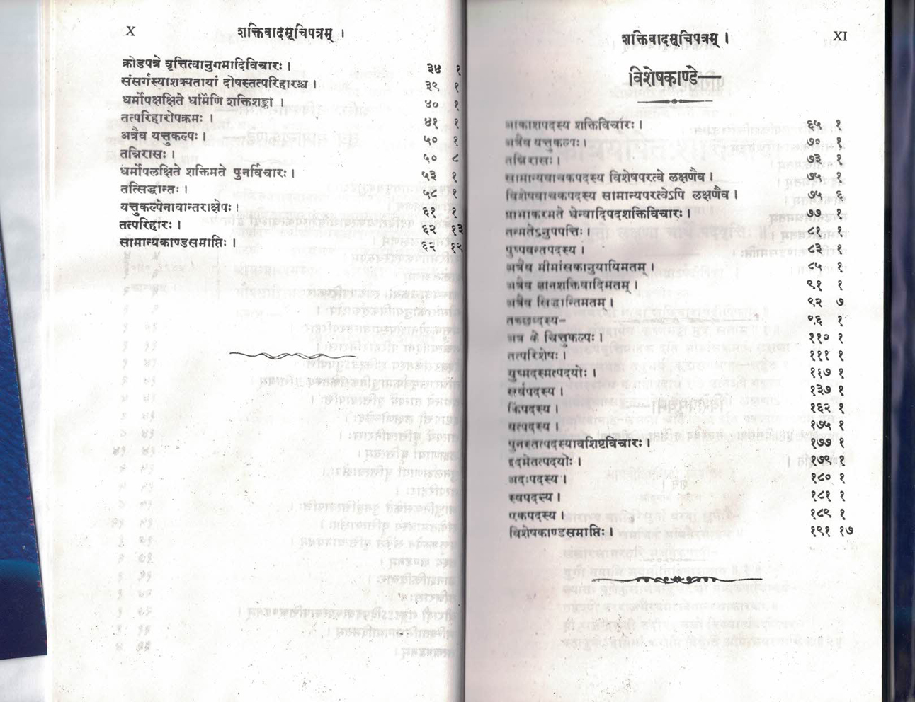 Shaktivaad