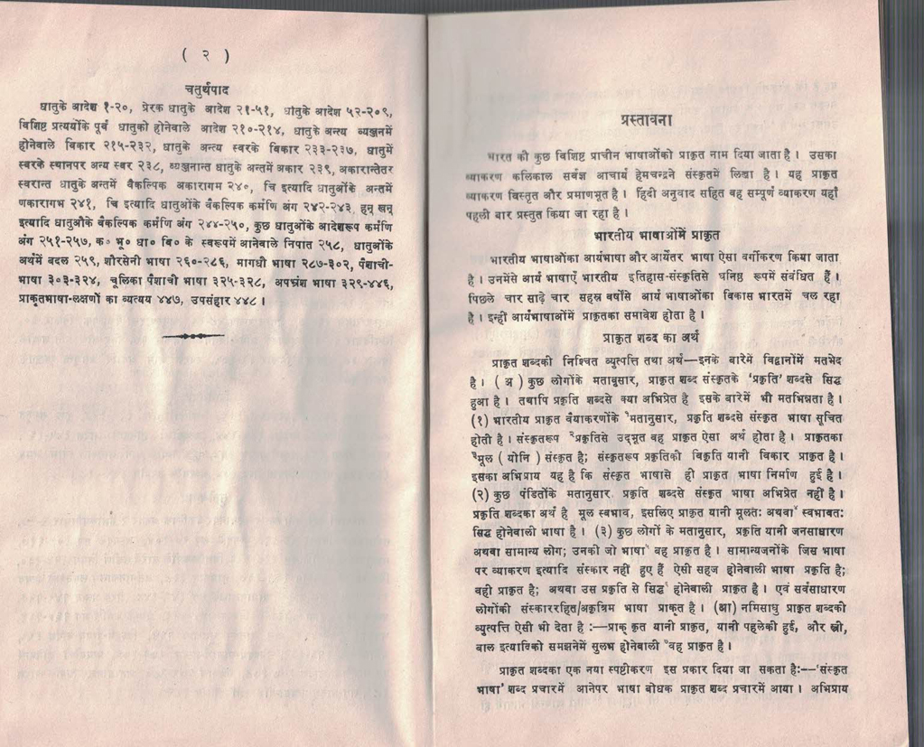 Prakrit Vyakarana